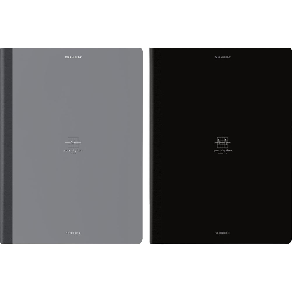 Изображение товара Бизнес-тетради BRAUBERG ДЭК А4 96л 2 шт. твердая обложка клетка