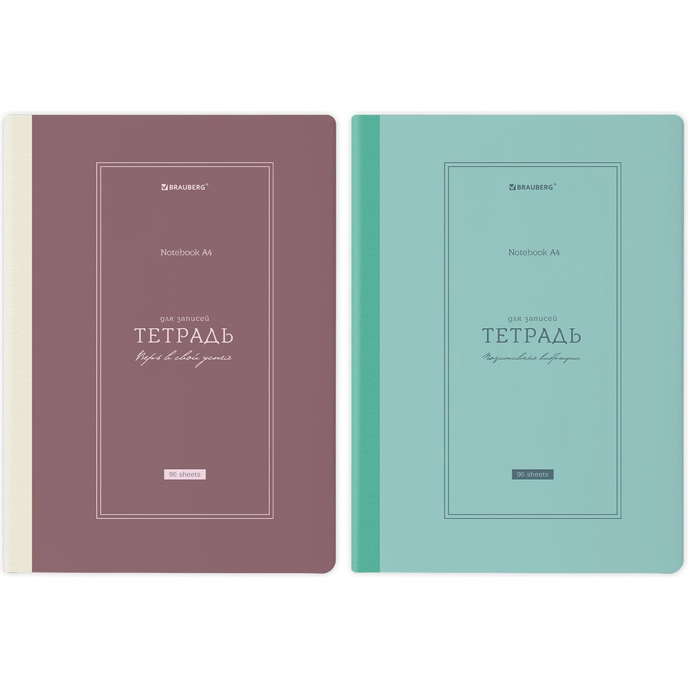 Изображение товара Бизнес-тетради BRAUBERG ДЭК А4 96 листов, 2 шт комплект, клетка