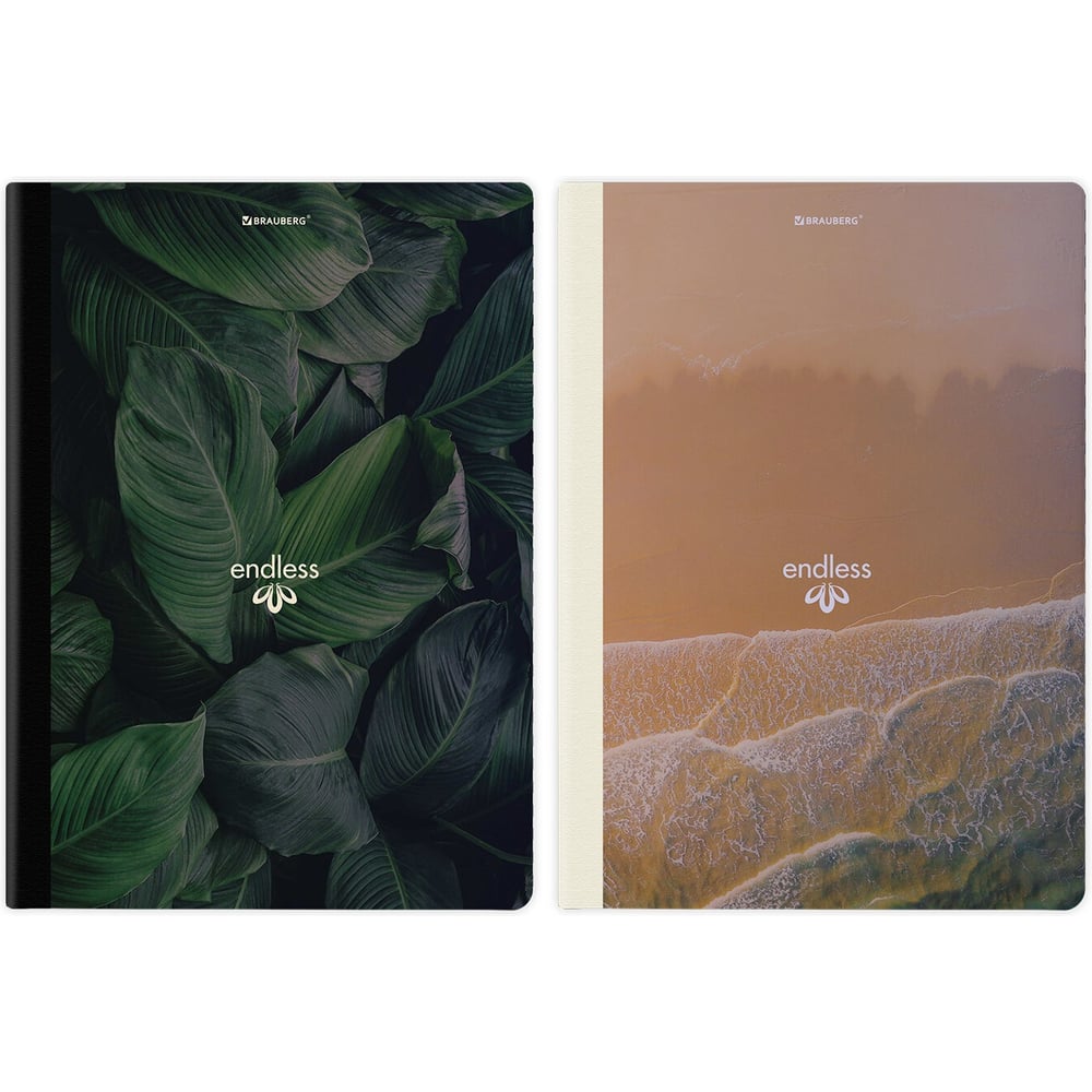 Изображение товара Бизнес-тетради BRAUBERG ДЭК А4, 96 листов, комбинированные