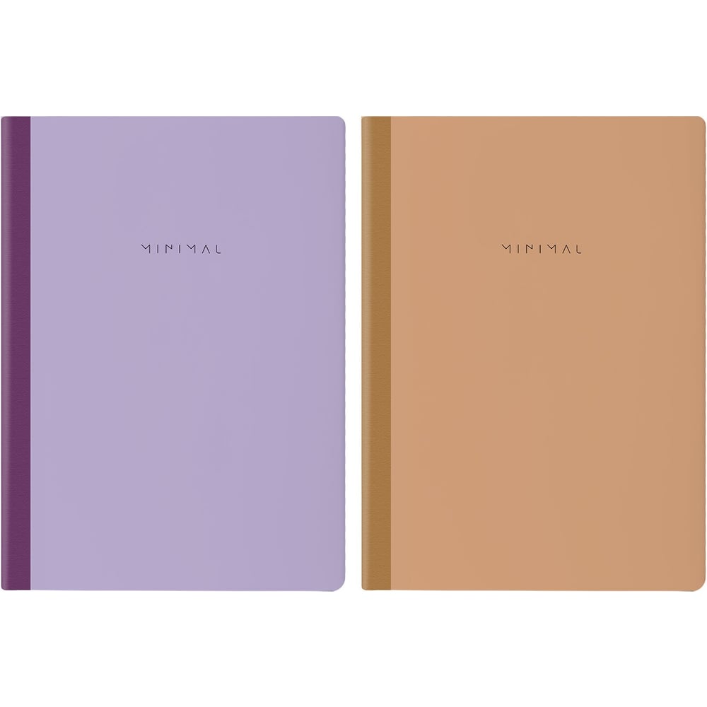 Изображение товара Бизнес-тетради BRAUBERG ДЭК А4, 96 листов, 2 шт., твердая обложка, клетка