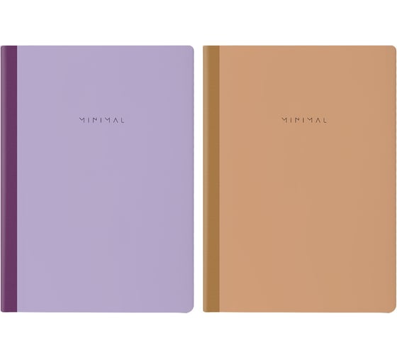 Изображение товара Бизнес-тетради BRAUBERG ДЭК А4, 96листов, 2 шт. на сшивке с корешком, клетка, Minimal, 405295