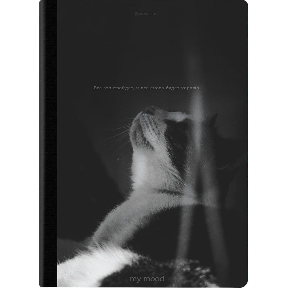 Изображение товара Бизнес-тетрадь BRAUBERG ДЭК А4 96 листов твердая обложка клетка