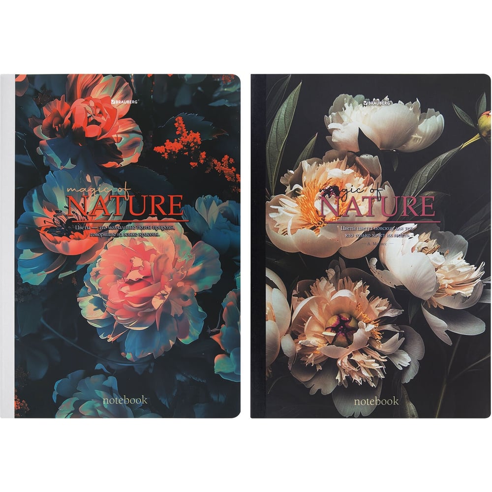 Изображение товара Бизнес-тетрадь BRAUBERG А4, 96 листов, клетка, Flowers, 2 шт.