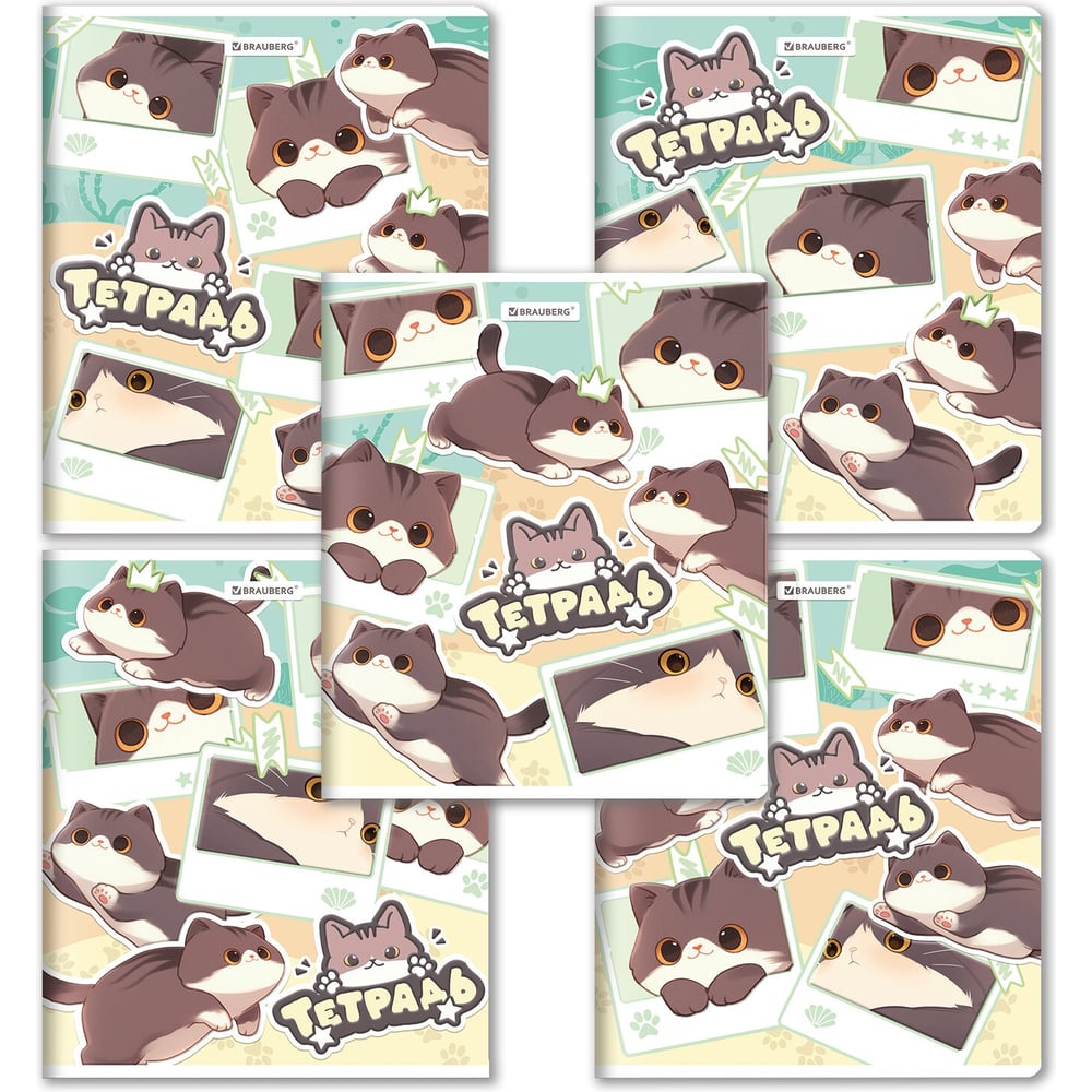 Изображение товара Тетрадь BRAUBERG А5 48 листов клетка серия МИЛЫЕ КОТЫ
