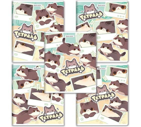 Изображение товара Тетрадь BRAUBERG А5 48л. скоба, 10 шт., клетка, выборочный лак, кросс-серия МИЛЫЕ КОТЫ, 405193