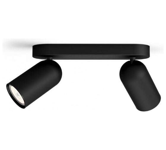 Изображение товара Потолочный светильник Philips PONGEE bar/tube black 2xNW 230V 915005531001
