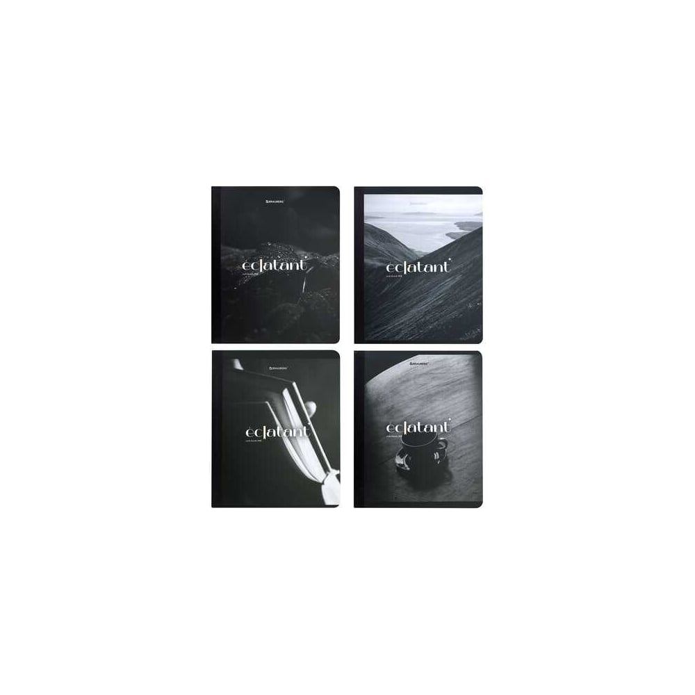 Изображение товара Бизнес-тетрадь BRAUBERG А5 96 листов комплект 4 шт. клетка мелованная обложка