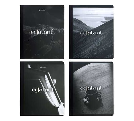 Изображение товара Бизнес-тетрадь BRAUBERG А5 96л, на сшивке с корешком, комплект 4 шт., клетка, обложка картон, Simplicity 405288