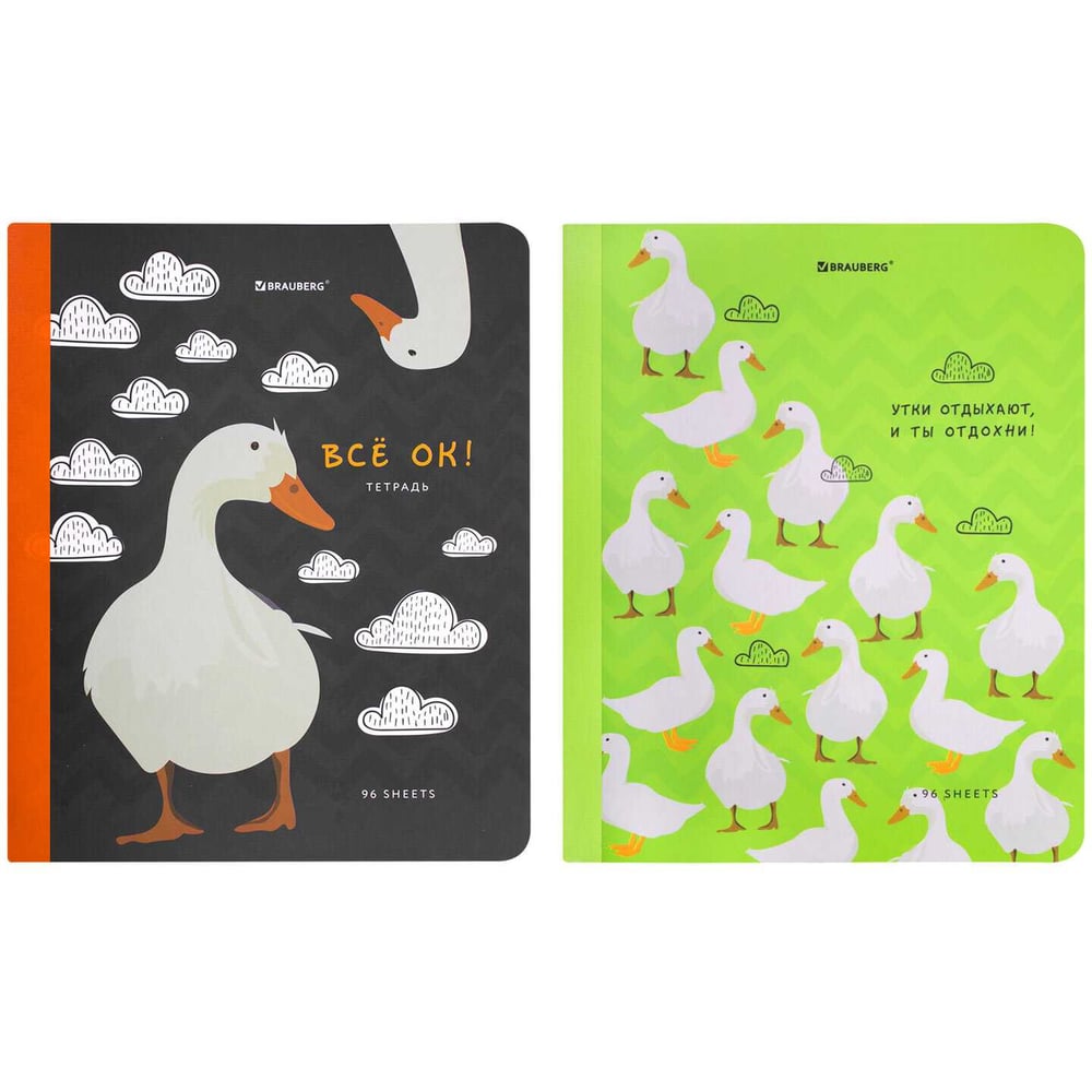 Изображение товара Тетради BRAUBERG ДЭК А5 96л, комплект 2 шт. на сшивке с корешком, клетка, Гуси-Расслабуси 405310
