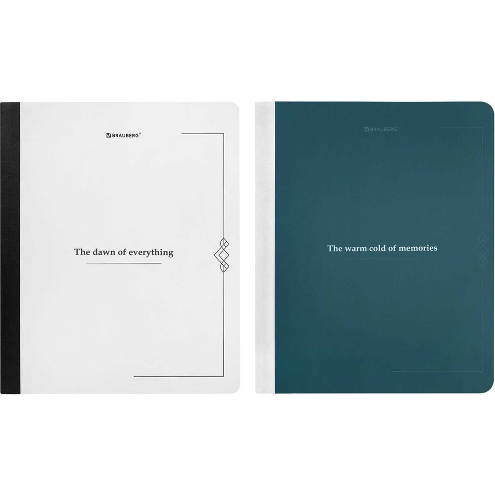 Изображение товара Тетради BRAUBERG ДЭК А5 96л комплект 2 шт. в мягкой обложке, клетка