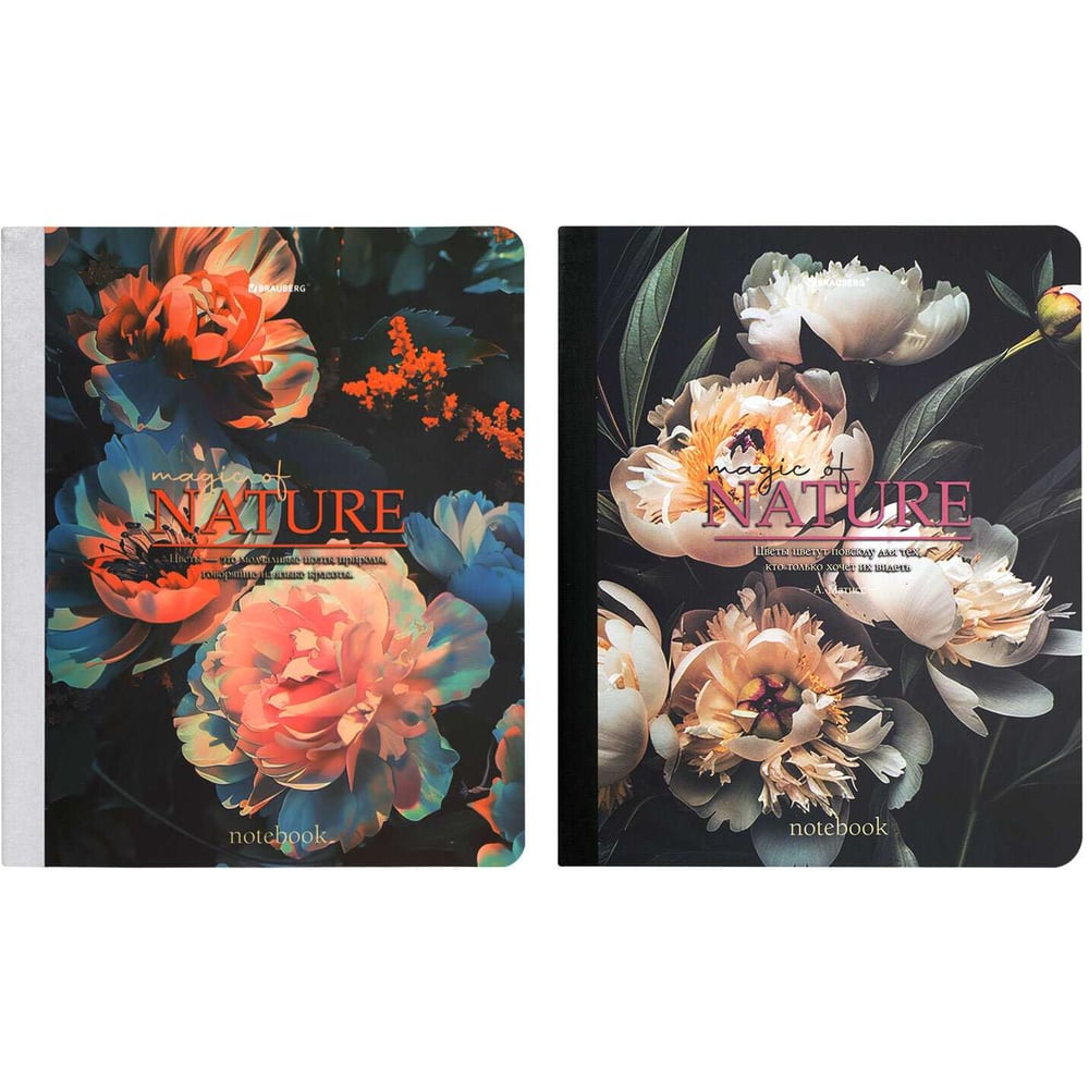 Изображение товара Тетради BRAUBERG ДЭК А5 96 листов комплект 2 шт Flowers