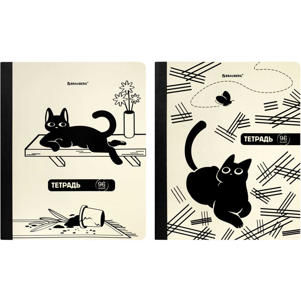 Изображение товара Тетради BRAUBERG ДЭК А5 96лист комплект 2 шт кот непоседа