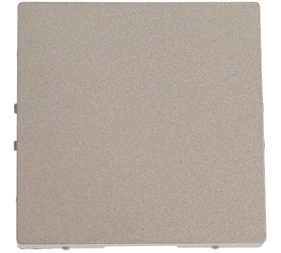 Изображение товара Заглушка Systeme Electric AtlasDesign Шампань SE ATN000509