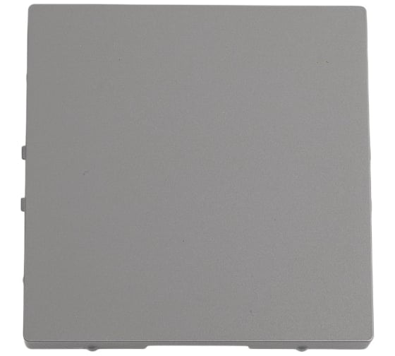 Изображение товара Заглушка Systeme Electric AtlasDesign Сталь SE ATN000909