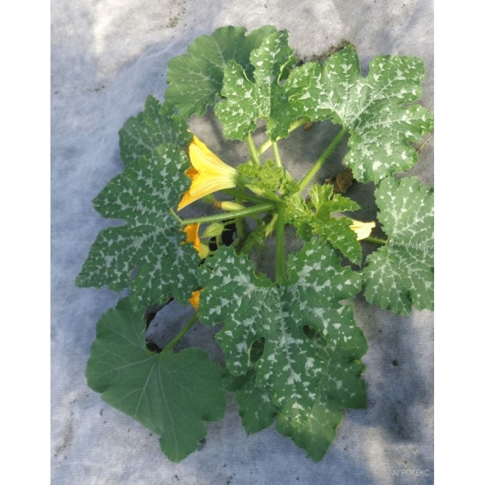 Изображение товара Мульчирующий материал для защиты от сорняков Агротекс Профф 80 г/м², 1060 мм, 10 м, бело-чёрный мини рулон 32.01.17.01.24.080.0010.1060.00