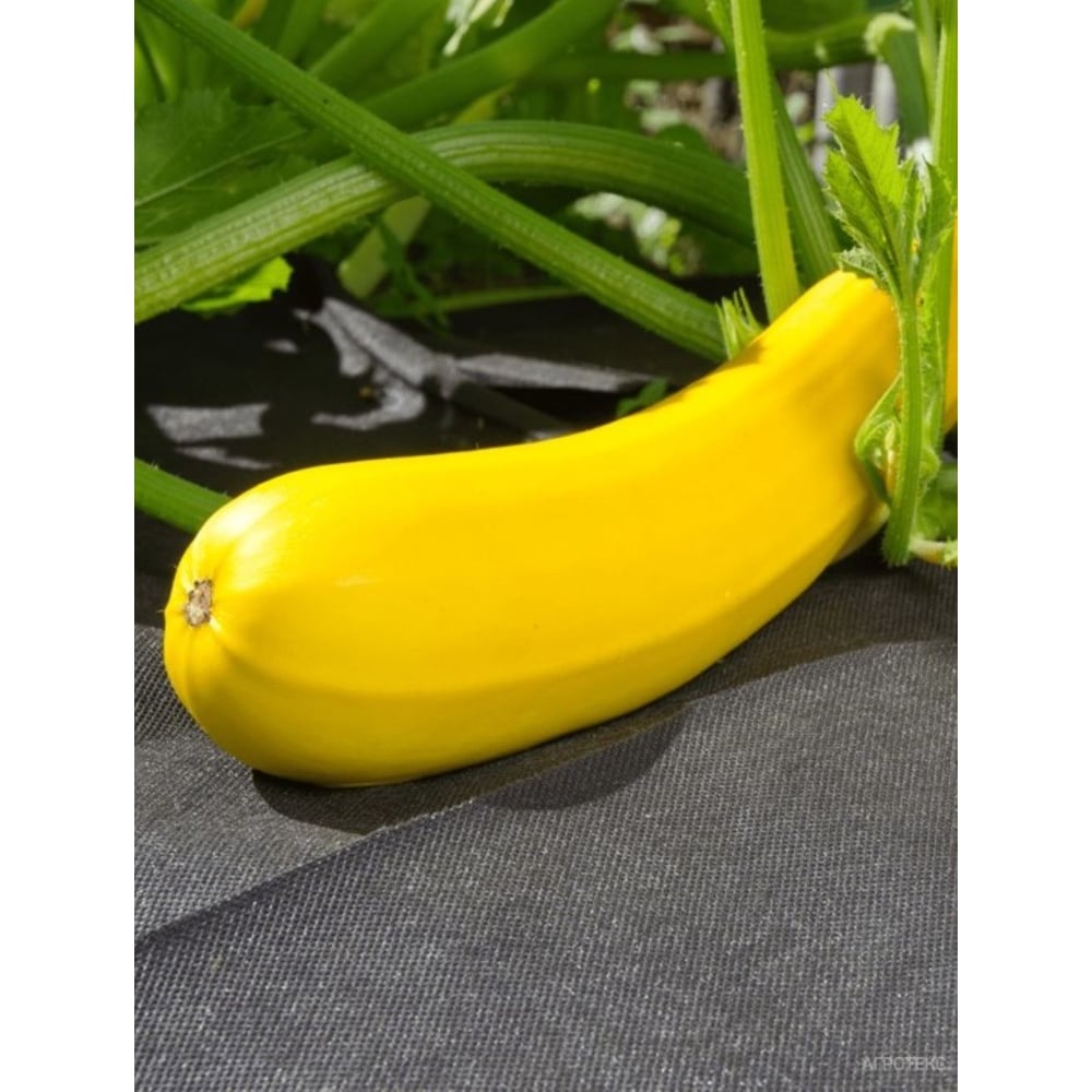 Изображение товара Укрывной материал Агротекс Удача для защиты от сорняков, 60 г/м², 800 мм, 10 м, черный, коробка (35шт) 37.01.03.02.02.060.0010.0800.00