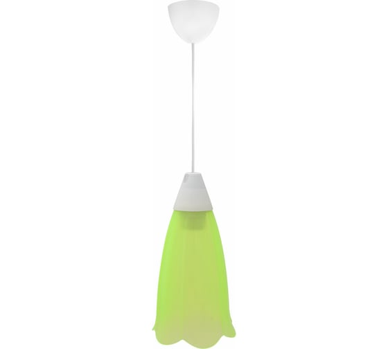 Изображение товара Светильник Apeyron декор, подвесной, Брауэр, пластик, 1хЕ27 15Вт, 220В, салатовый, шнур бел/ 16-22