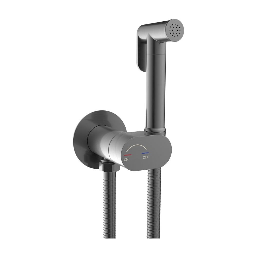 Изображение товара Гигиенический душ River HIGI R01 GG из оружейной стали, монтаж настенный