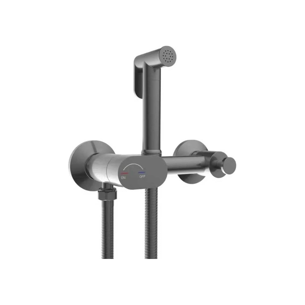 Изображение товара Гигиенический душ River HIGI R02 GG из брашированной стали для биде настенный современный дизайн