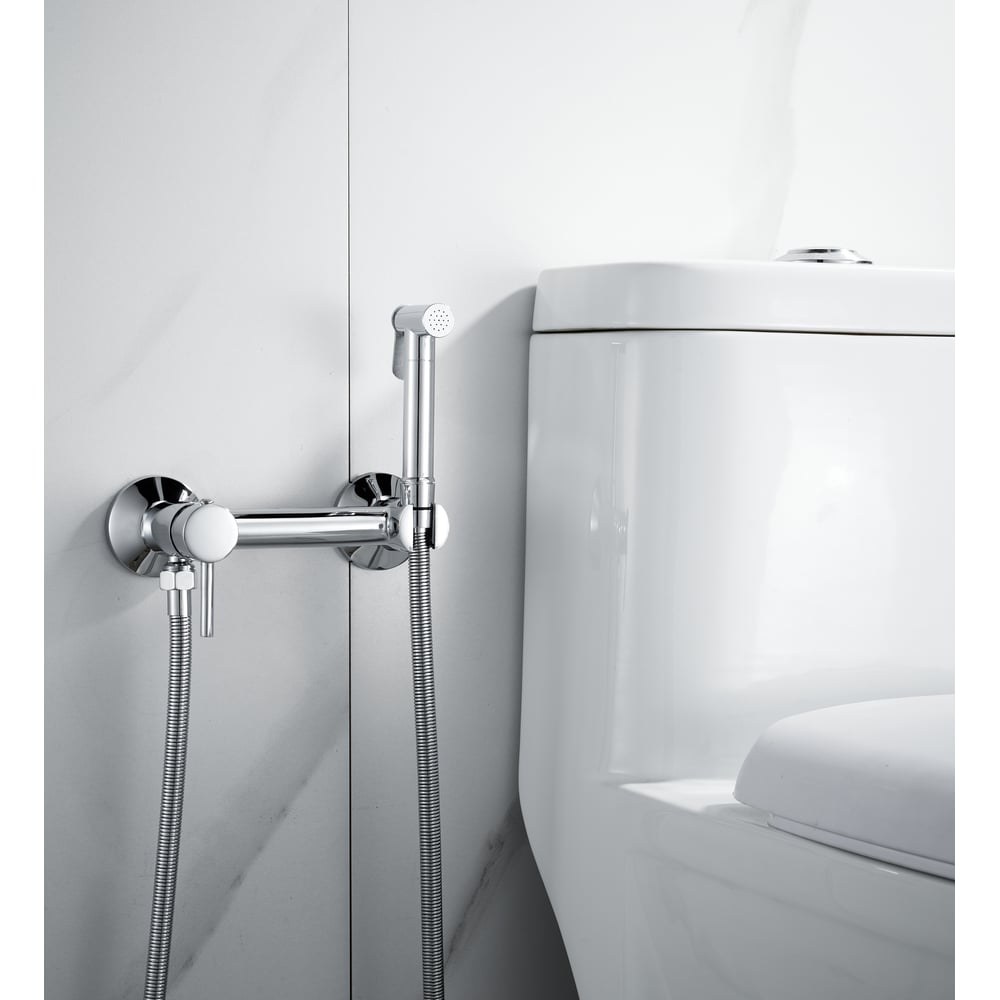 Изображение товара Смеситель для биде ALOUTE с гигиеническим душем AH505 хром современный стиль