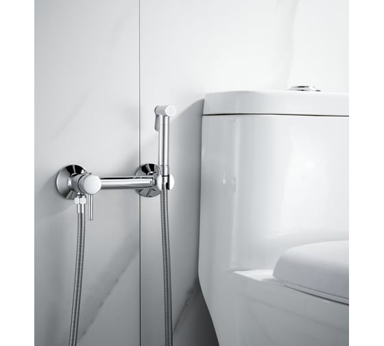 Изображение товара Смеситель для биде ALOUTE с гигиеническим душем хром AH505