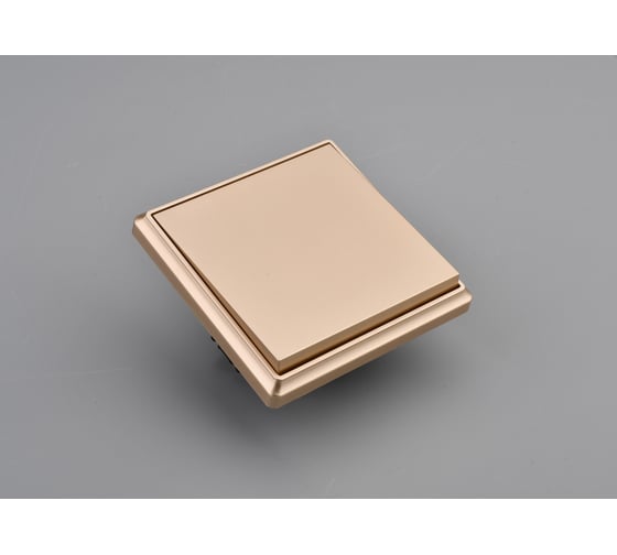 Изображение товара 1 клавишный выключатель ALTECH ENCORE 1SY скрытого монтажа шампань в сборе 07439