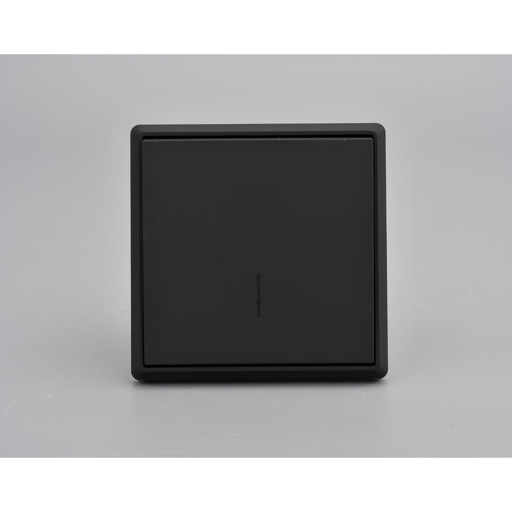 Изображение товара Выключатель ALTECH серии ENCORE 1SIY скрытого монтажа с индикатором черный