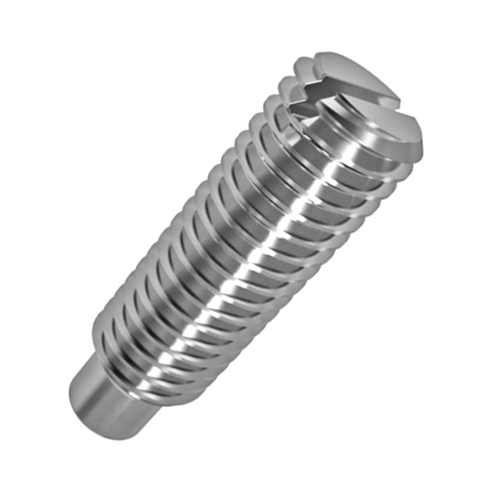 Изображение товара Установочные винты ООО Иж-Тандем 10х16 DIN 417 нержавеющая сталь 10 штук Изображение товара Установочные винты ООО Иж-Тандем 10х16 DIN 417 нержавеющая сталь 10 штук