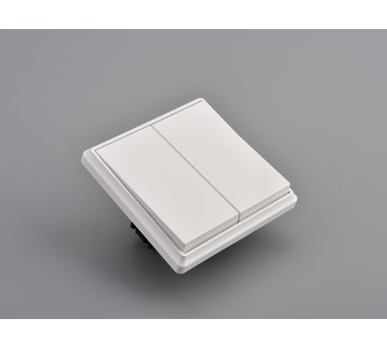 Изображение товара 2-клавишный выключатель ALTECH ENCORE 2SW скрытого монтажа белый в сборе 07446