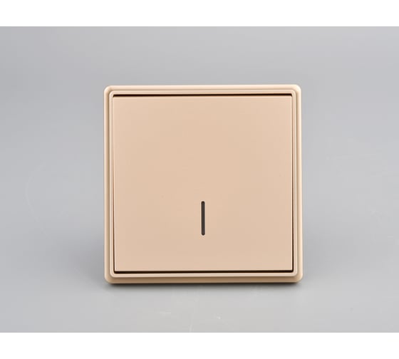 Изображение товара 1-клавишный выключатель с индикацией ALTECH ENCORE 1SIY скрытого монтажа шампань в сборе 07444 07443