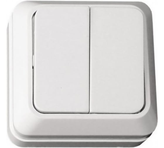 Изображение товара Выключатель 2-клавишный ALTECH SPACE 2SOW открытого монтажа белый 07430