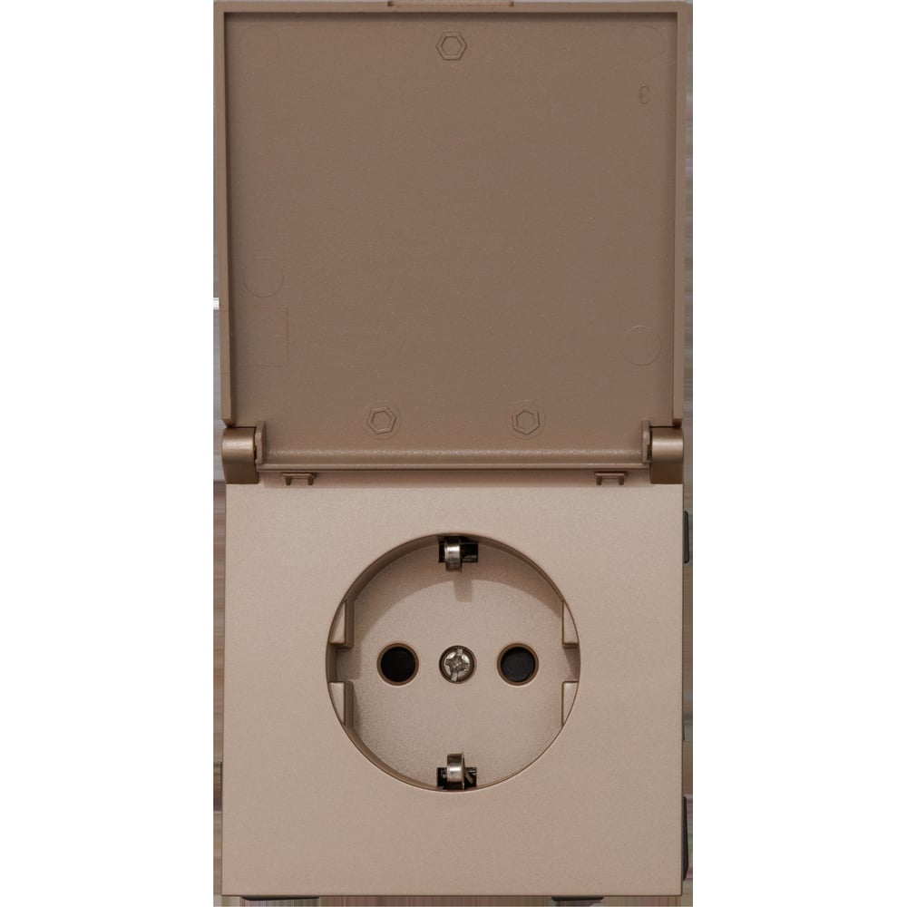 Изображение товара Розетка силовая ALTECH ENCORE 1SY скрытого монтажа IP44 шампань