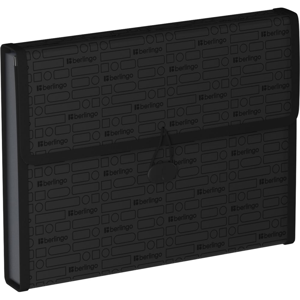 Изображение товара Папка Berlingo Your Way 13 отделений A4 на резинке черная XF413890