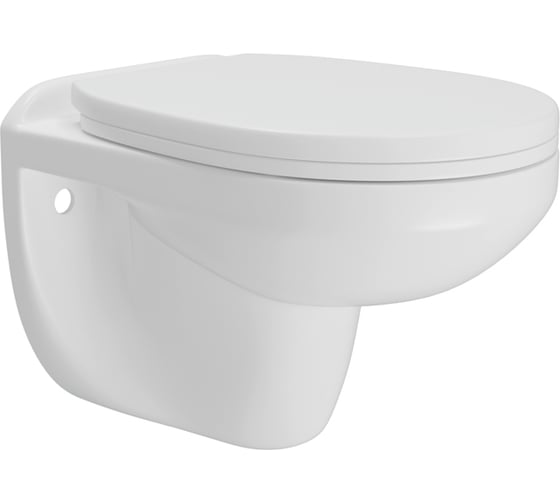 Изображение товара Унитаз подвесной безободковый Teymi Hanna с сиденьем микролифт T40900 ЦБ-00272521