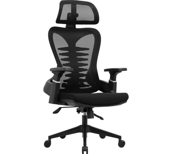 Изображение товара Кресло компьютерное EVOLUTION HarmonySpine 4812755009308