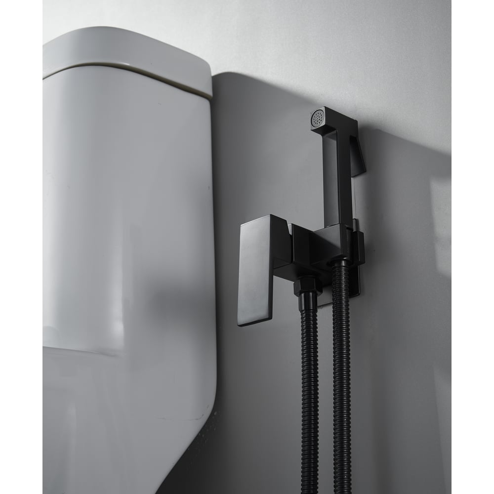 Изображение товара Смеситель для биде ALOUTE AH355H 100 см шланг с гигиенической лейкой металлический