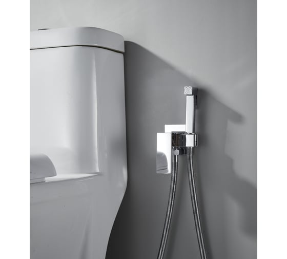 Изображение товара Смеситель для биде ALOUTE шланга 100 см, двойная оплетка, металлический, керамический картридж, с гигиенической лейкой, хром AH355