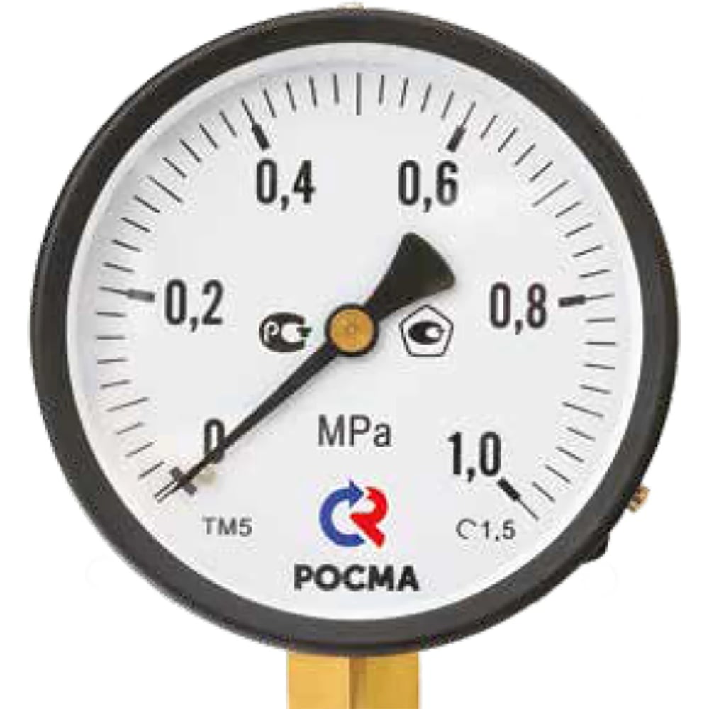 Изображение товара Манометр Росма ТМ-310Р.00 радиальный 0-25 МПа M12х1.5