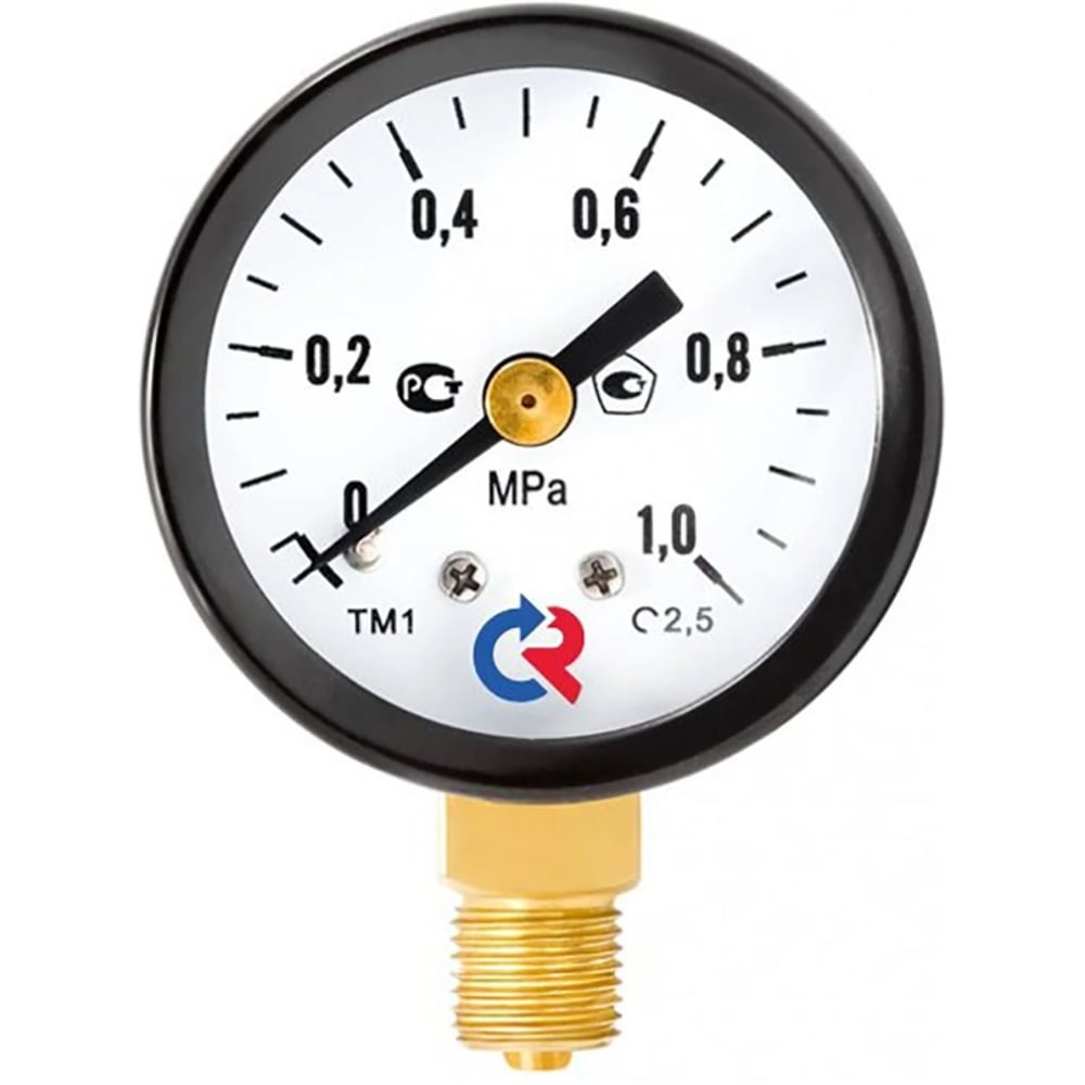 Изображение товара Манометр Росма ТМ-110Р.00 радиальный M10x1 аналоговый для измерения давления