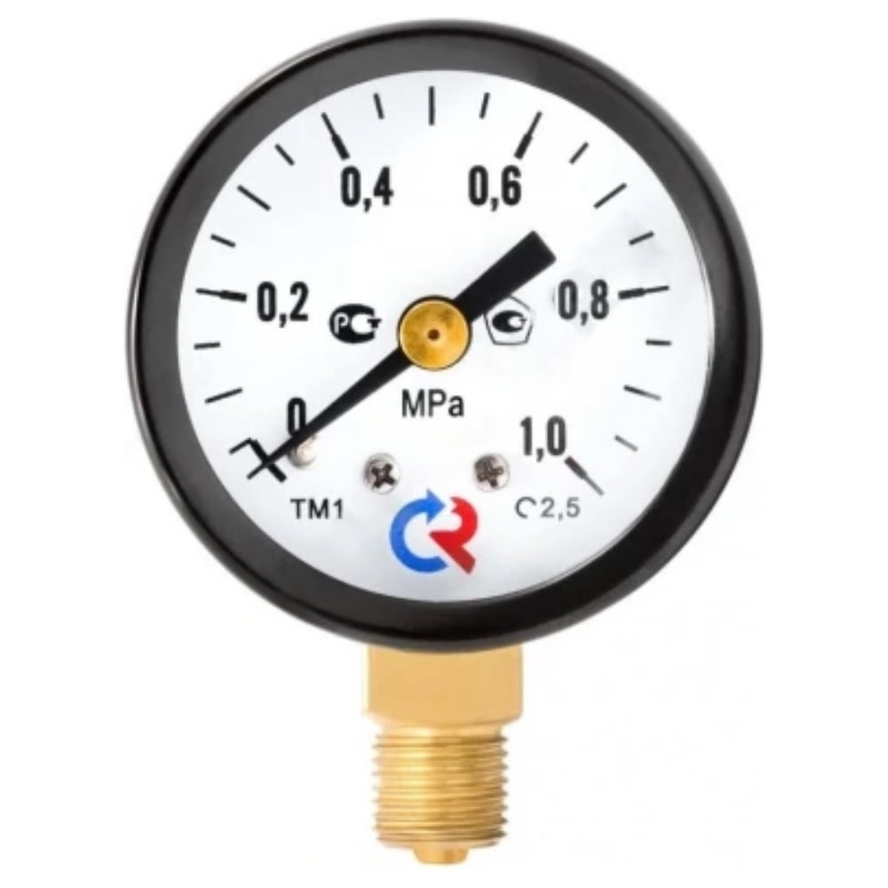 Изображение товара Манометр Росма радиальный 0-0.6Мпа М12х1.5 профессиональный аналоговый