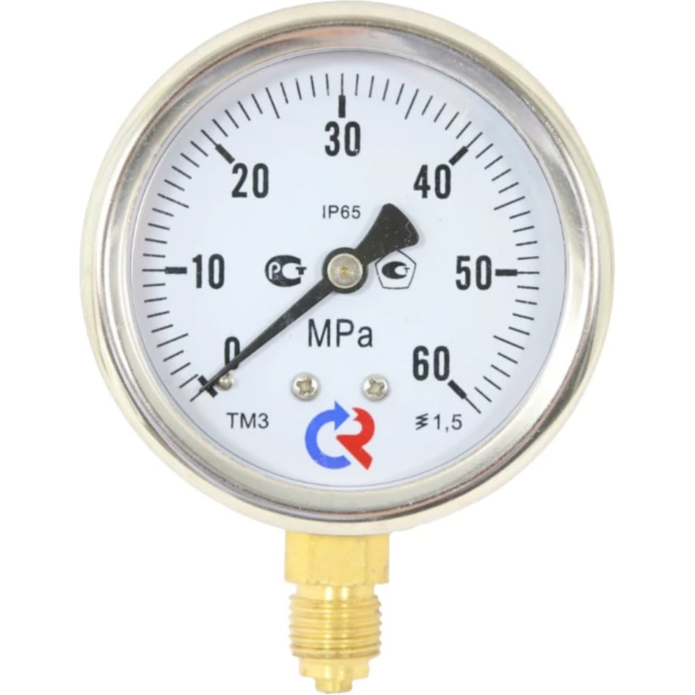 Изображение товара Манометр Росма ТМ-320Р.00 радиальный 0-40МПа G1/4 профессиональный