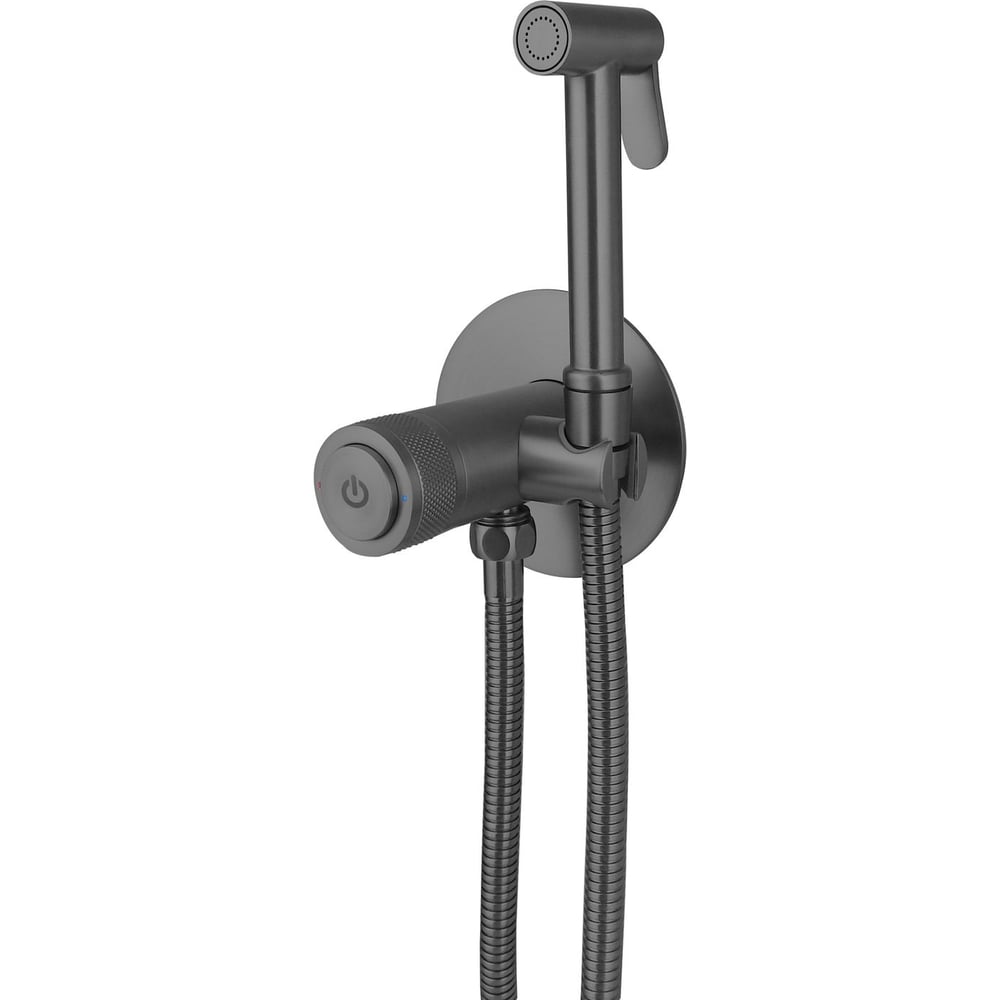 Изображение товара Смеситель с гигиеническим душем ALLEN BRAU LIBERTY латунь графит настенный