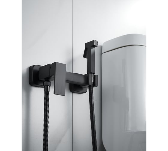 Изображение товара Смеситель для биде ALOUTE с гигиеническим душем из латуни цвет черный матовый AH315H