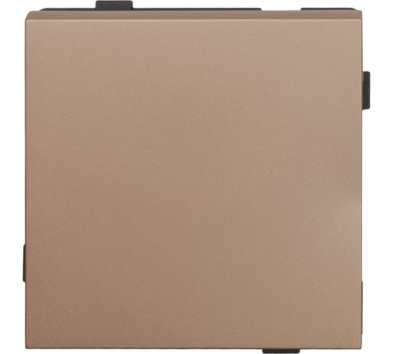 Изображение товара Одноклавишный проходной выключатель ALTECH ENCORE 1TSY скрытого монтажа, шампань, механизм 07390