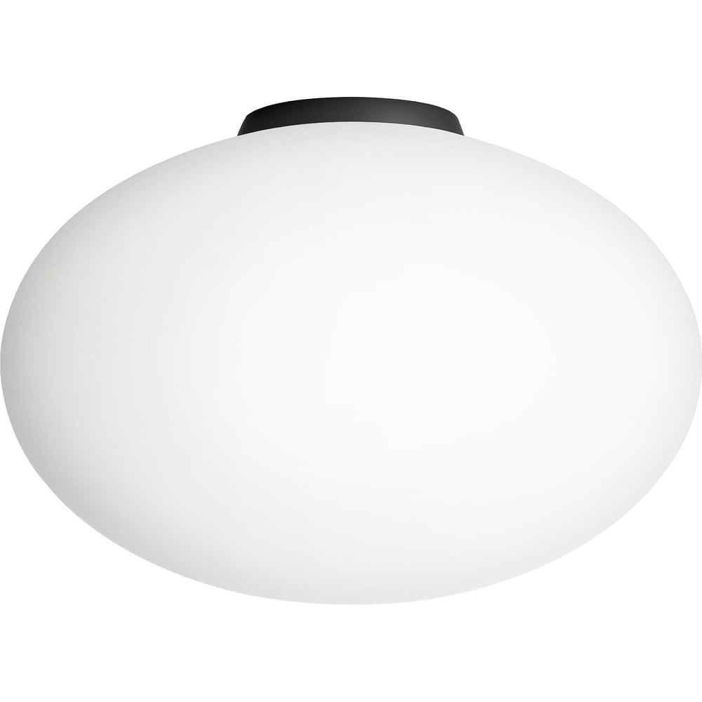 Изображение товара Потолочный светильник Citilux RON черный IP20 для помещений