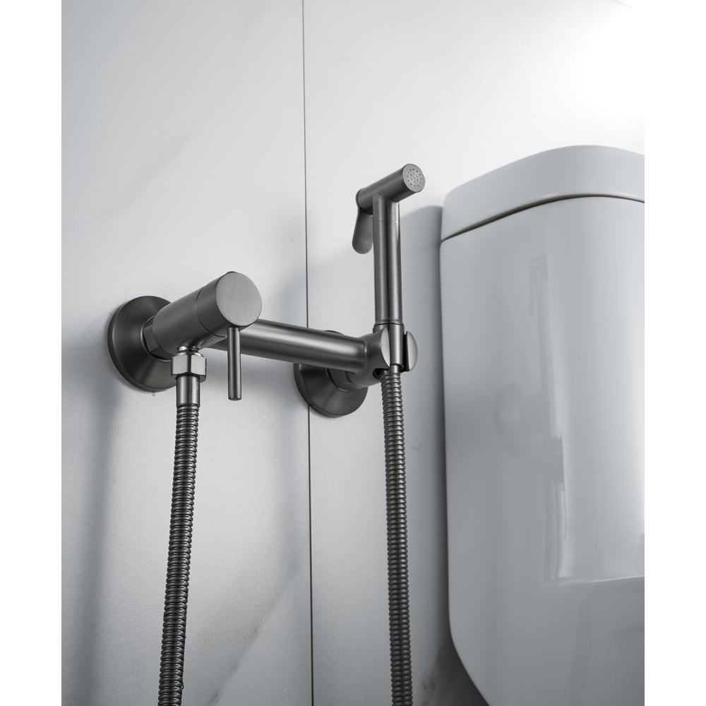 Изображение товара Смеситель для биде ALOUTE с гигиеническим душем титан AH505Y