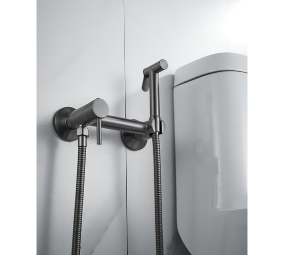 Изображение товара Смеситель для биде ALOUTE с гигиеническим душем, титан AH505Y