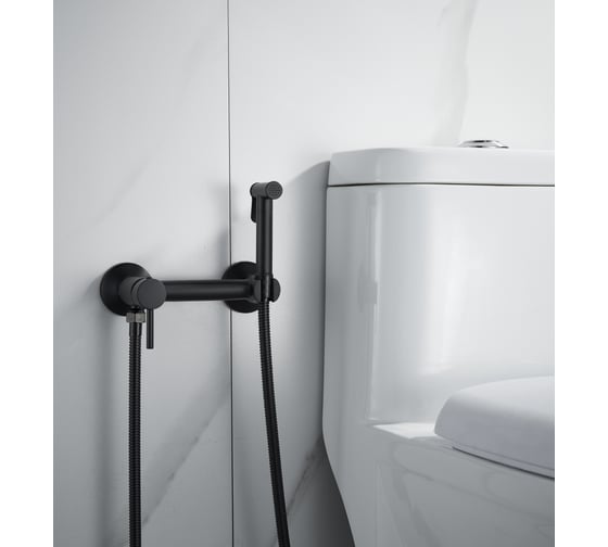 Изображение товара Смеситель для биде ALOUTE с гигиеническим душем черный матовый, латунь AH505H