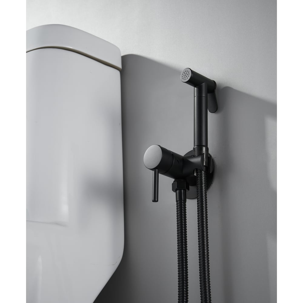 Изображение товара Смеситель для биде ALOUTE с гигиеническим душем черный матовый AH345H