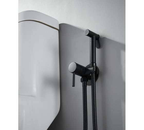 Изображение товара Смеситель для биде ALOUTE с гигиеническим душем черный матовый, керамический картридж AH345H